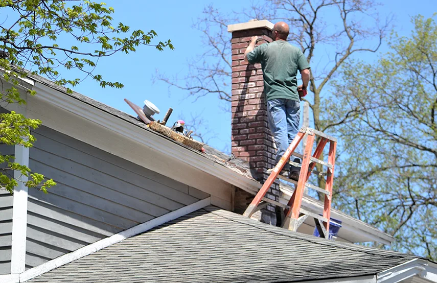 Chimney & Fireplace Inspections Services in Renton, WA